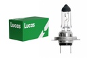 12V 55W PX26d H7 LONG LIFE LUCAS