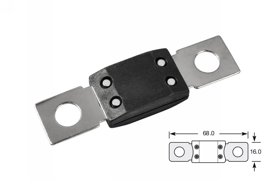 Mega fuse 125amp 