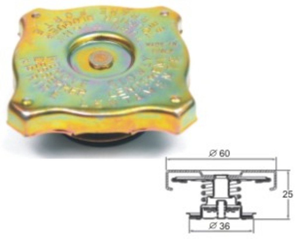 Radiator 70kPa-Inox steel spring