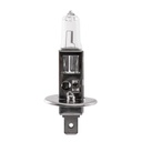 LLB491_1