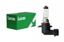 12V 42W PY20d H10 LUCAS