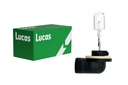 12V 50W PGJ13 LUCAS