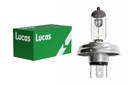 24V 100/80W P45t halogén