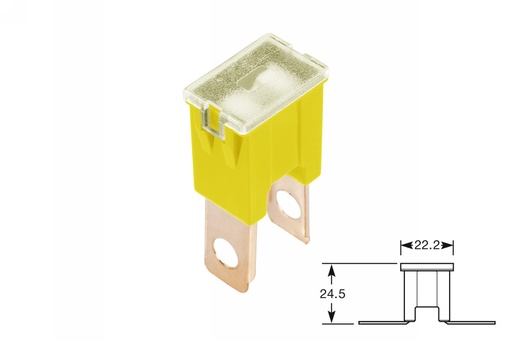 [ELFJ60M] PAL fuses-male long leg 60A