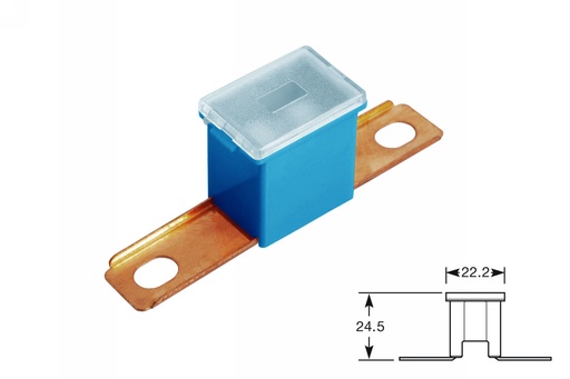 [ELFJ100ST] PAL fuses-male short leg 100A